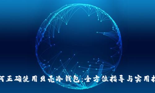 如何正确使用贝壳冷钱包:全方位指导与实用技巧