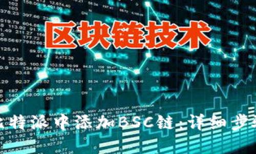 如何在比特派中添加BSC链：详细步骤与攻略