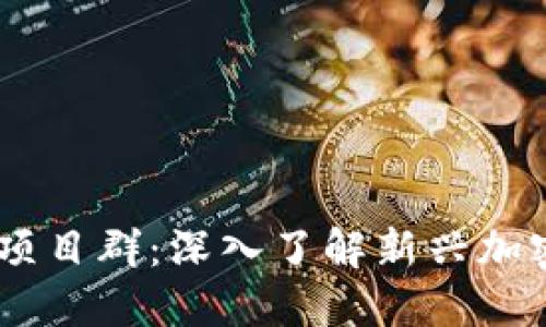 币圈首码项目群:深入了解新兴加密货币项目