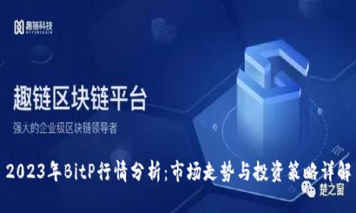 2023年BitP行情分析：市场走势与投资策略详解