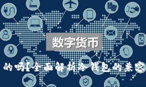 冷钱包是互用的吗？全面解析冷钱包的兼容性与使用特点