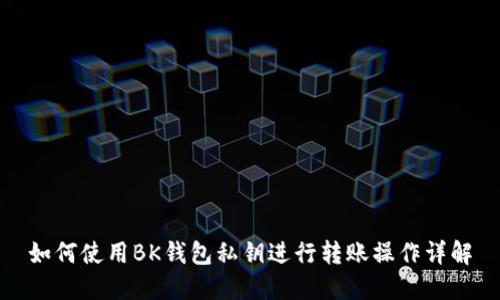 如何使用BK钱包私钥进行转账操作详解