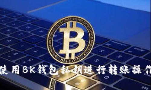 如何使用BK钱包私钥进行转账操作详解