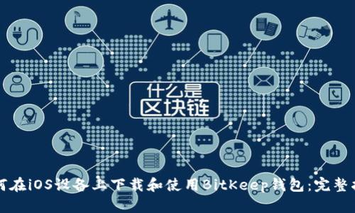 如何在iOS设备上下载和使用BitKeep钱包:完整指南