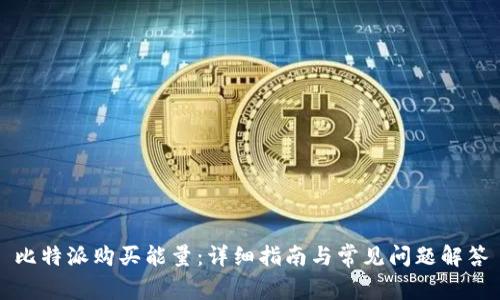 比特派购买能量:详细指南与常见问题解答