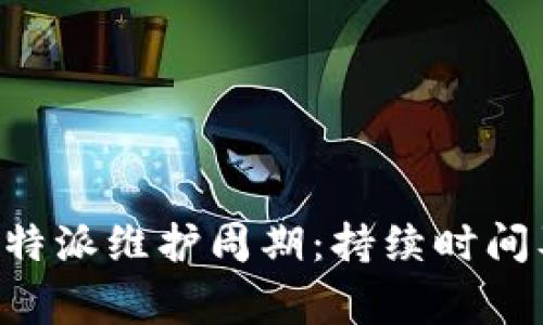 深入了解B特派维护周期:持续时间及注意事项