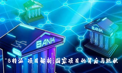 “B特派”项目解析:国家项目的背后与现状