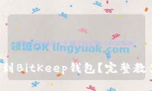 如何将PIG币转移到BitKeep钱包?完整教程与常见问题解答