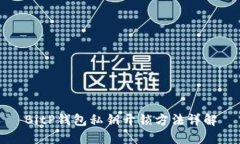 BitP钱包私钥开锁方法详解