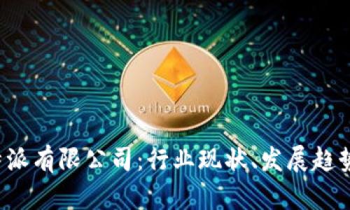 全面解析B特派有限公司：行业现状、发展趋势及竞争优势