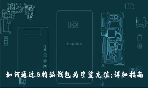 如何通过B特派钱包为星鲨充值:详细指南