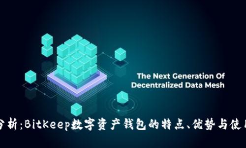 全面分析：BitKeep数字资产钱包的特点、优势与使用指南