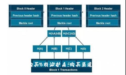 如何有效购买B特派护盾:购买渠道与注意事项