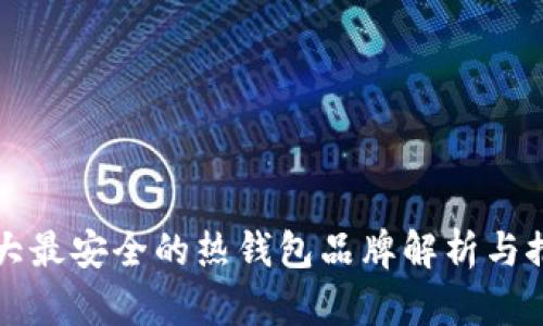 十大最安全的热钱包品牌解析与推荐
