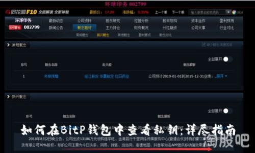 如何在BitP钱包中查看私钥：详尽指南