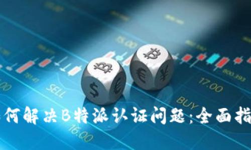 如何解决B特派认证问题:全面指南
