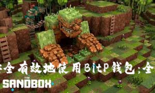 如何安全有效地使用BitP钱包：全面指南