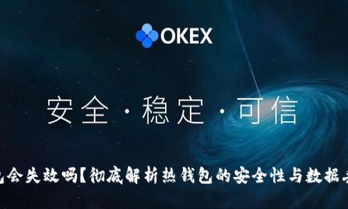 : 热钱包会失效吗？彻底解析热钱包的安全性与数据丢失风险