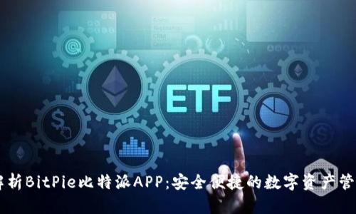 深入解析BitPie比特派APP：安全便捷的数字资产管理助手