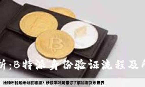 深入解析:B特派身份验证流程及所需时间