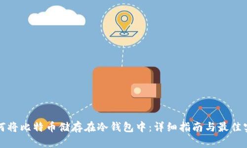 如何将比特币储存在冷钱包中:详细指南与最佳实践