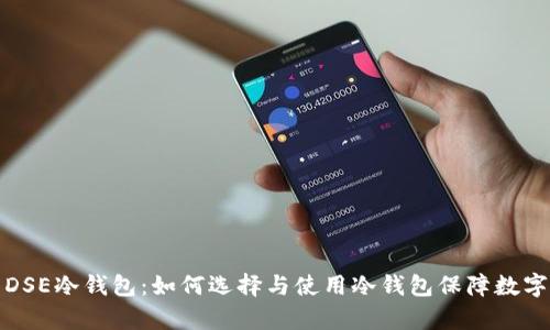 全面解析DSE冷钱包:如何选择与使用冷钱包保障数字资产安全