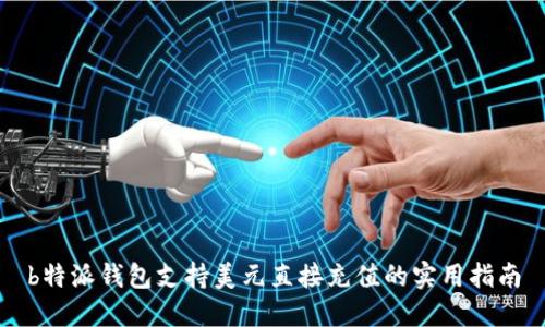 b特派钱包支持美元直接充值的实用指南