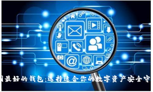 币圈最好的钱包:选择适合你的数字资产安全守护者