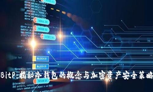 BitP:揭秘冷钱包的概念与加密资产安全策略