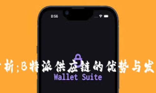 深入分析:B特派供应链的优势与发展前景