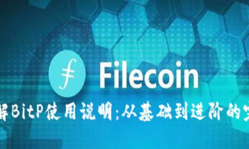全面了解BitP使用说明:从基础到进阶的完整指南