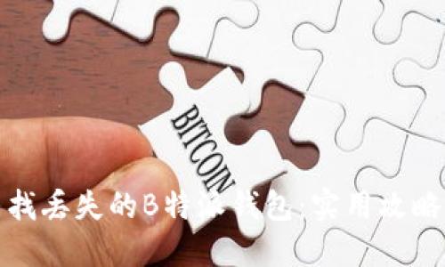 如何寻找丢失的B特派钱包:实用攻略和建议