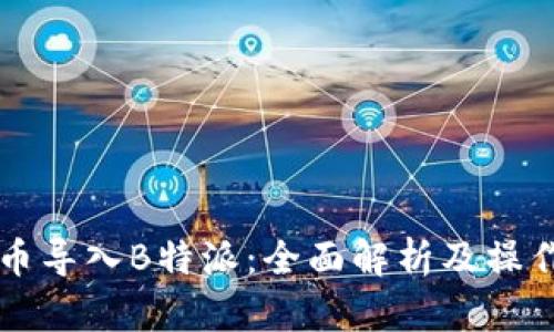 比特币导入B特派：全面解析及操作指南