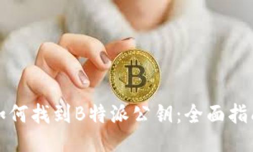 如何找到B特派公钥:全面指南