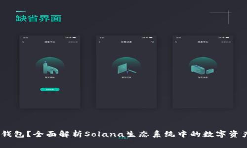 什么是Sol钱包？全面解析Solana生态系统中的数字资产管理工具