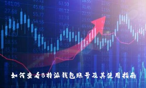 如何查看B特派钱包账号及其使用指南