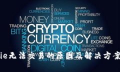 Bitpie无法交易的原因及解