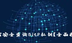 fiaoti如何安全查询BitP私钥