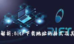 全面解析：BitP下载地址的