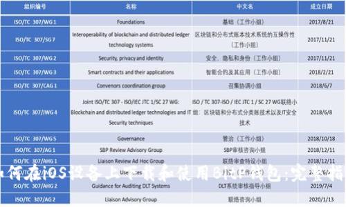 如何在iOS设备上下载和使用BitP钱包：完整指南