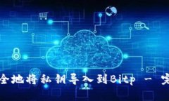 如何安全地将私钥导入到