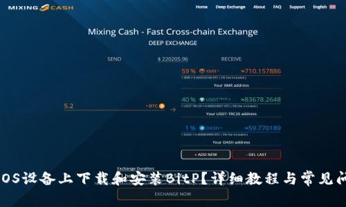 如何在iOS设备上下载和安装BitP？详细教程与常见问题解答