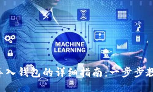 B特派钱包导入钱包的详细指南：一步步教你轻松操作