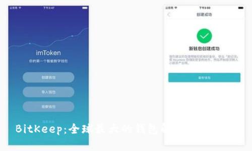 BitKeep：全球最大的钱包解析及其优势