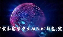 如何下载和安装中文版B