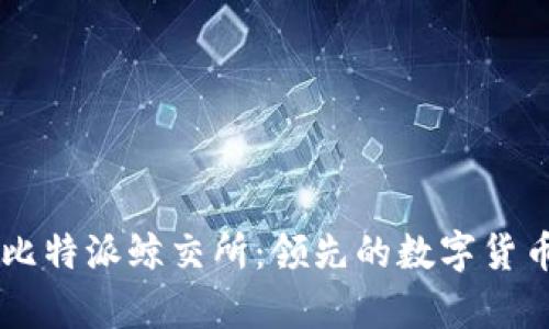 深入分析比特派鲸交所：领先的数字货币交易平台