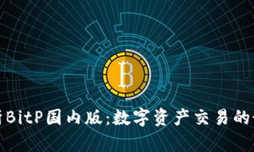 全面解析BitP国内版：数字资产交易的最佳选择