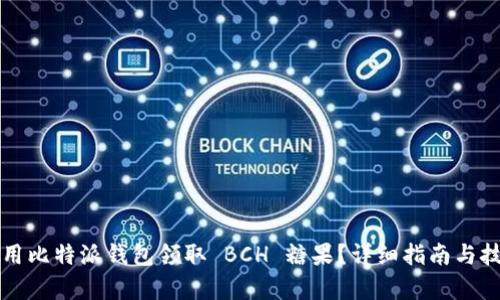 如何使用比特派钱包领取 BCH 糖果？详细指南与技巧解析