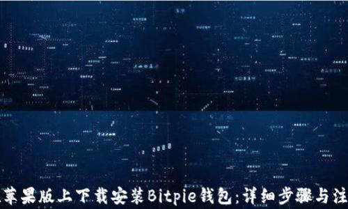 
如何在苹果版上下载安装Bitpie钱包：详细步骤与注意事项