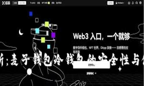 全面解析：麦子钱包冷钱包的安全性与使用指南